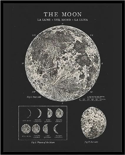 Luna Luid-kleurplaat-gratis-8