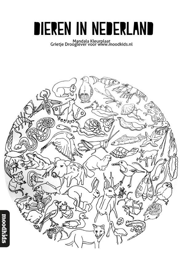 Mandalas van fantasiedieren-kleurplaat-gratis-3