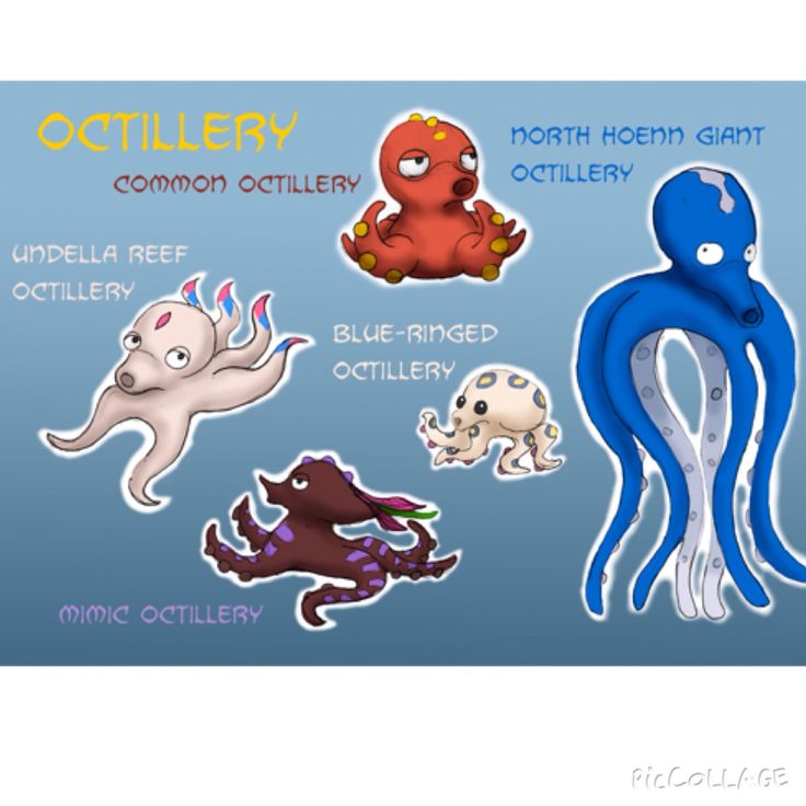 Octillery-kleurplaat-gratis-14
