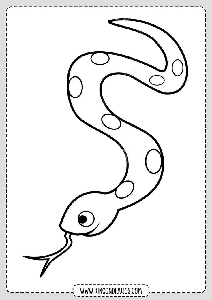 anaconda-kleurplaat-gratis-11