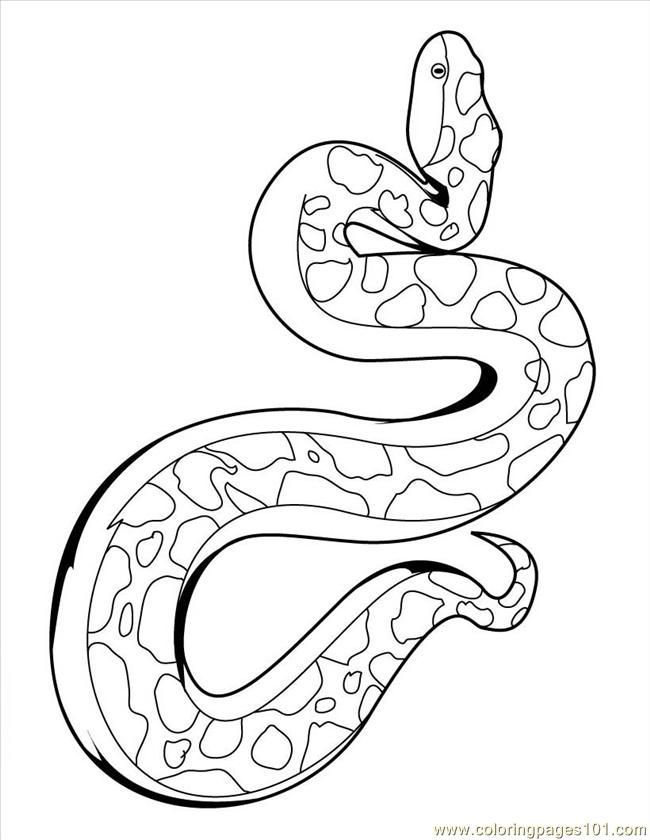anaconda-kleurplaat-gratis-2