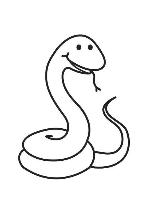 anaconda-kleurplaat-gratis-9