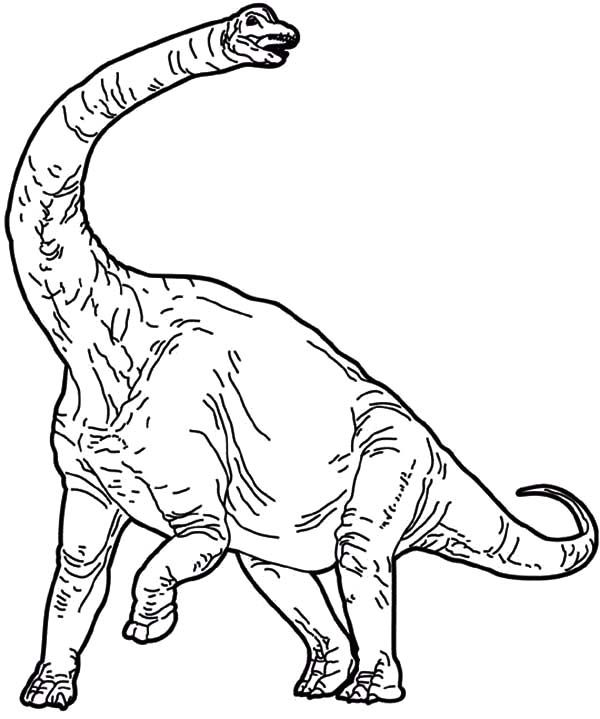 diplodocus-kleurplaat-gratis-1