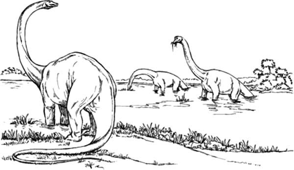 diplodocus-kleurplaat-gratis-11