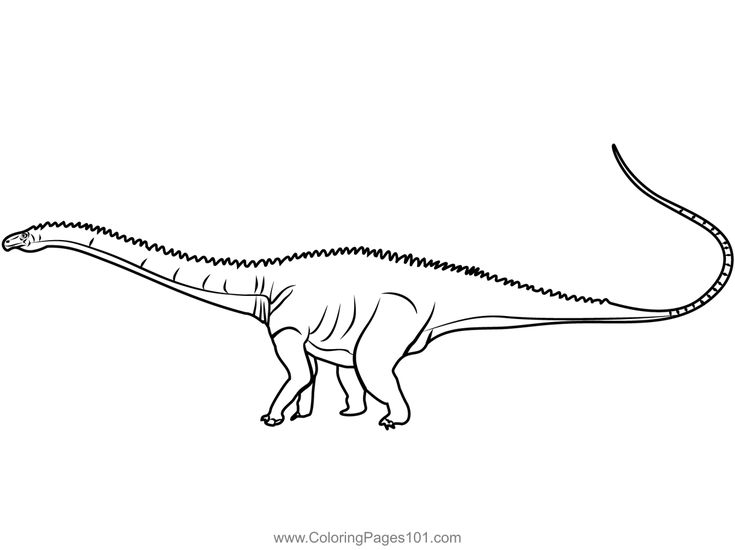 diplodocus-kleurplaat-gratis-4