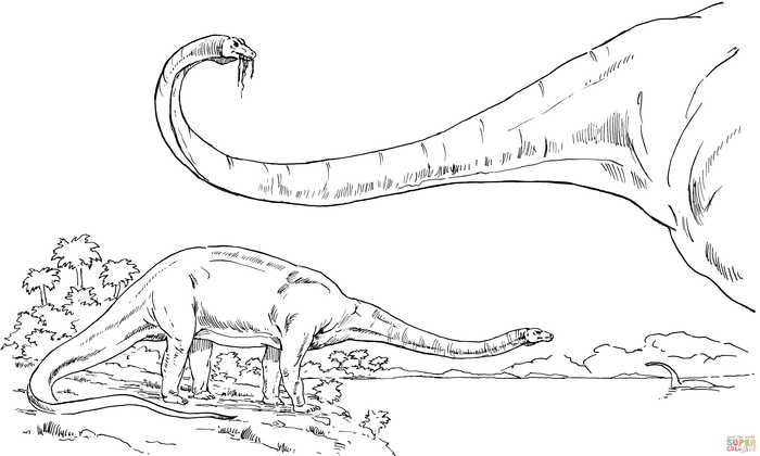diplodocus-kleurplaat-gratis-5
