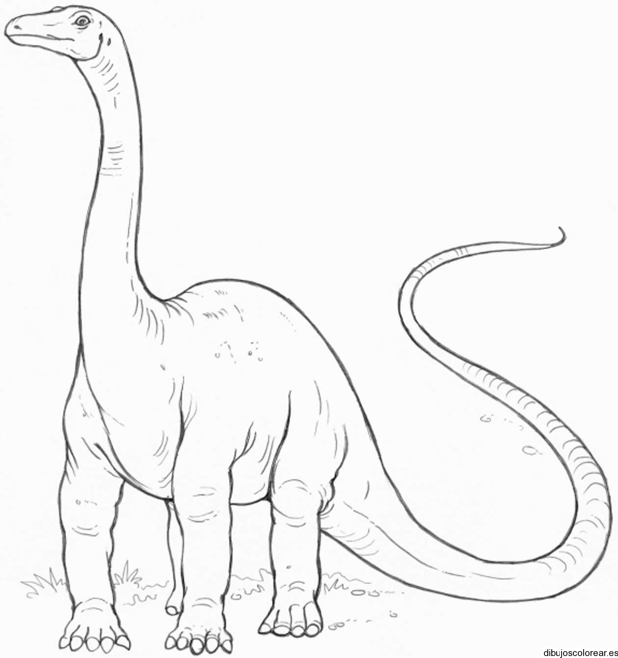 diplodocus-kleurplaat-gratis-7