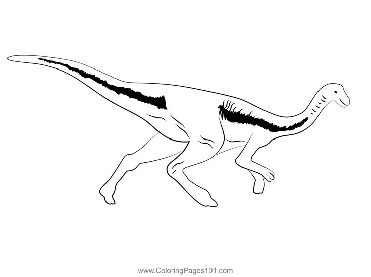 gallimimus-kleurplaat-gratis-3