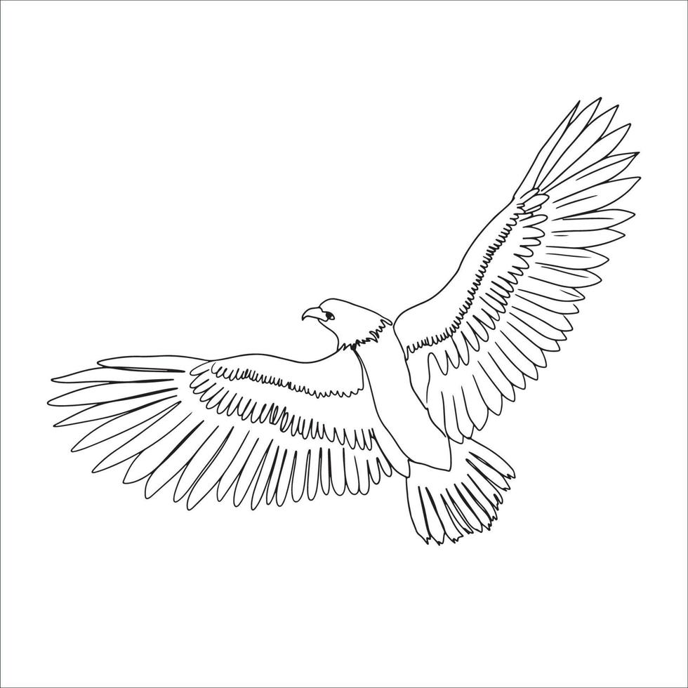 havik-kleurplaat-gratis-11
