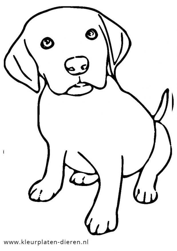 hond-kleurplaat-gratis-6