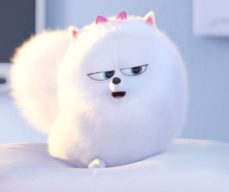 huisdiergeheimen the secret life of pets-kleurplaat-gratis-10