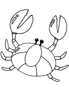 krab-kleurplaat-gratis-12