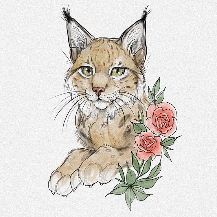lynx-kleurplaat-gratis-11