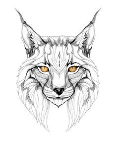 lynx-kleurplaat-gratis-13