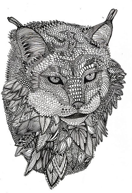 lynx-kleurplaat-gratis-3