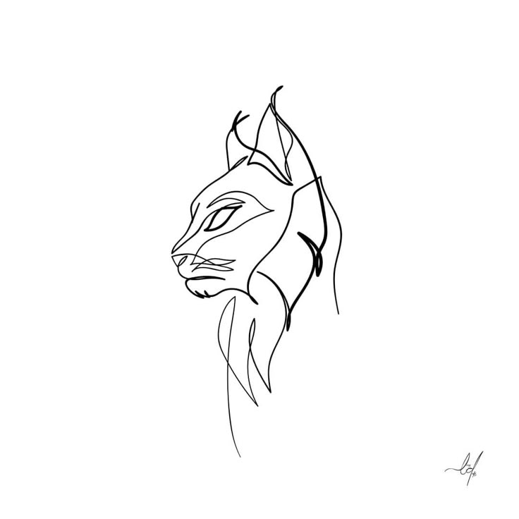 lynx-kleurplaat-gratis-7