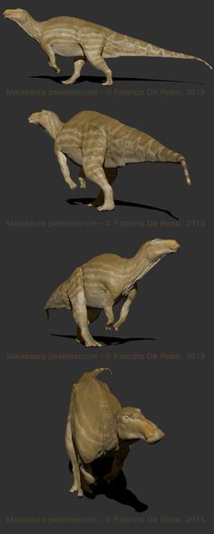 maiasaura-kleurplaat-gratis-10