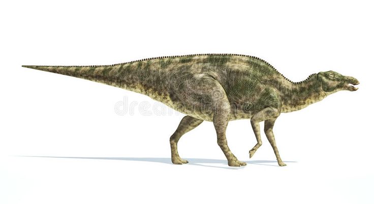 maiasaura-kleurplaat-gratis-12