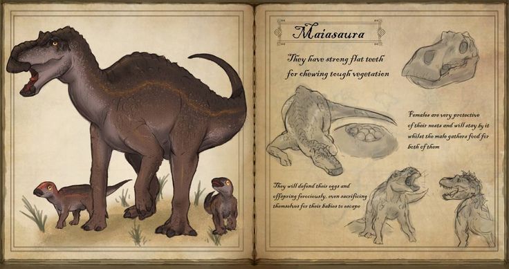 maiasaura-kleurplaat-gratis-14