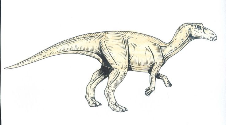 maiasaura-kleurplaat-gratis-4