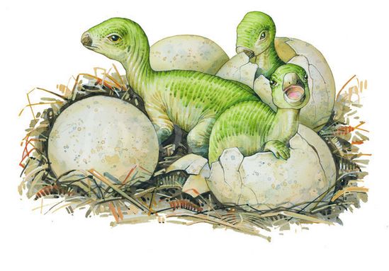 maiasaura-kleurplaat-gratis-8
