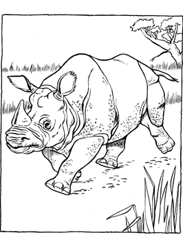 neushoorn-kleurplaat-gratis-8
