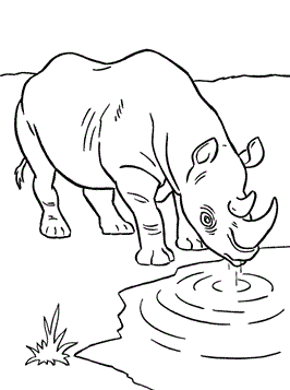 neushoorn-kleurplaat-gratis-9