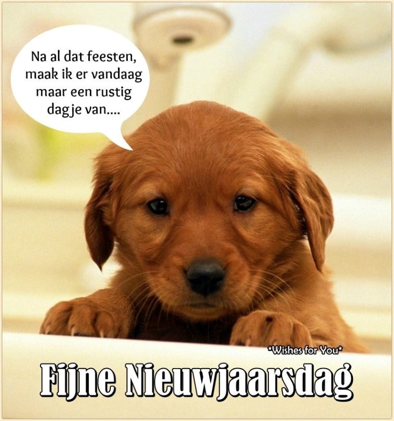 nieuwjaarsdag 1 januari-kleurplaat-gratis-14