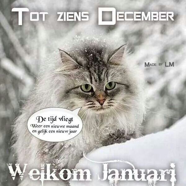 nieuwjaarsdag 1 januari-kleurplaat-gratis-9