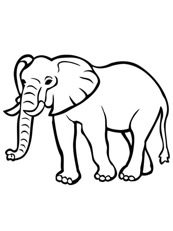 olifant-kleurplaat-gratis-3