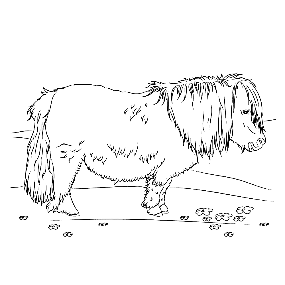 paard-kleurplaat-gratis-4