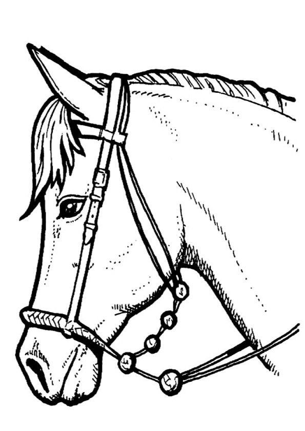 paard-kleurplaat-gratis-5