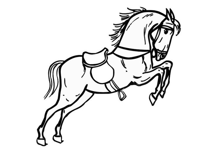 paard-kleurplaat-gratis-9