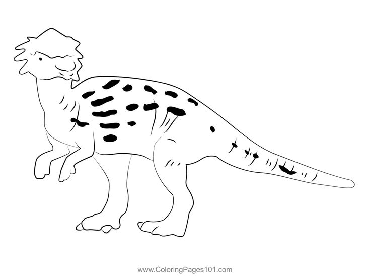 pachycephalosaurus-kleurplaat-gratis-3