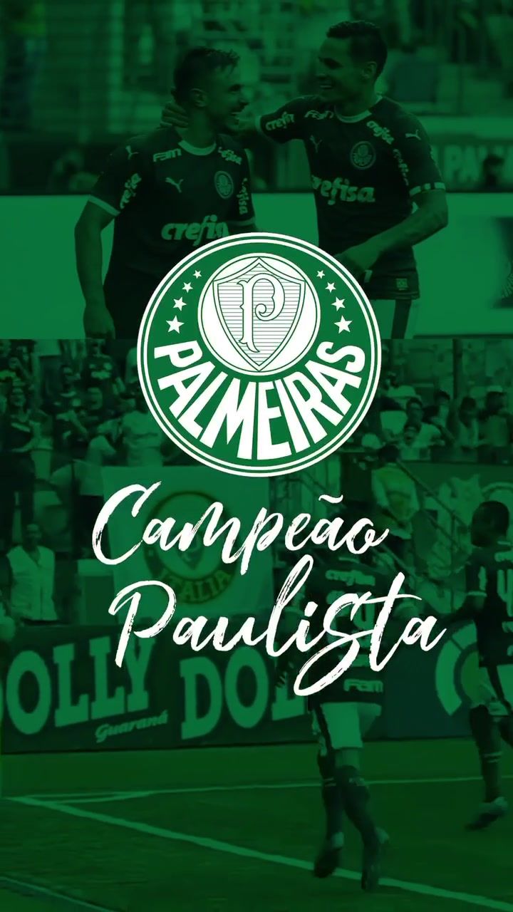 palmeiras-kleurplaat-gratis-11