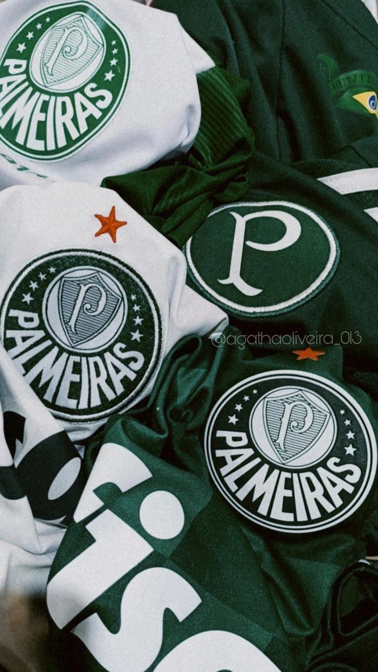 palmeiras-kleurplaat-gratis-4