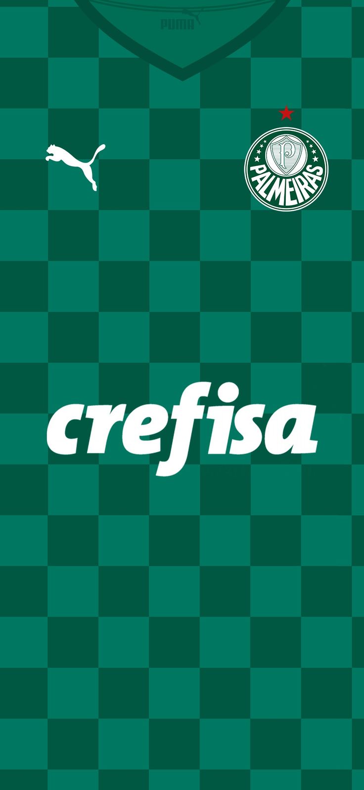 palmeiras-kleurplaat-gratis-8