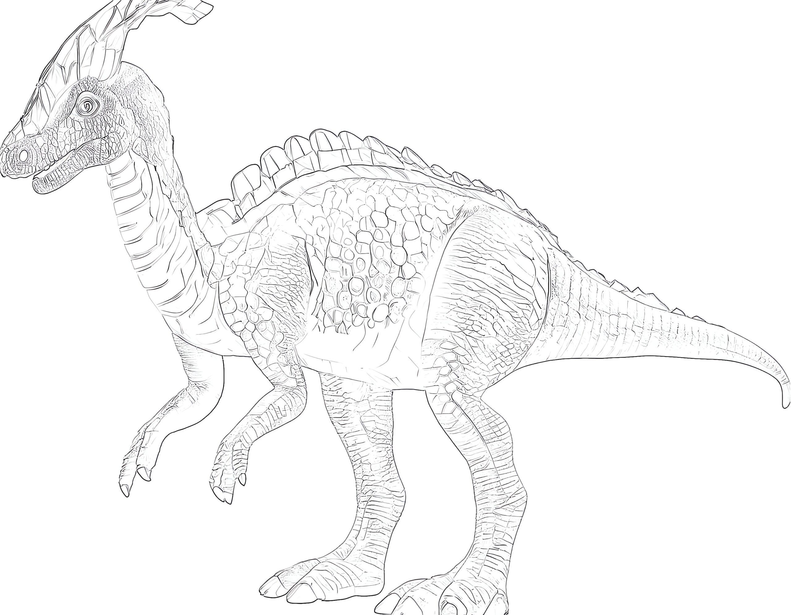 parasaurolophus-kleurplaat-gratis-13