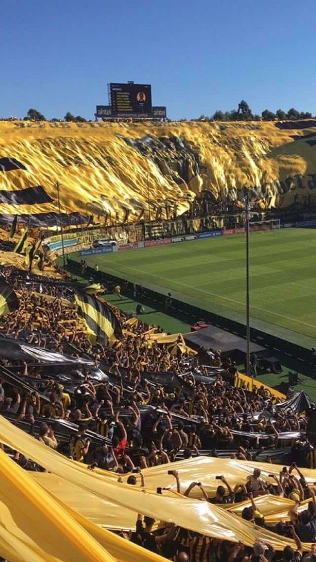 penarol-kleurplaat-gratis-14