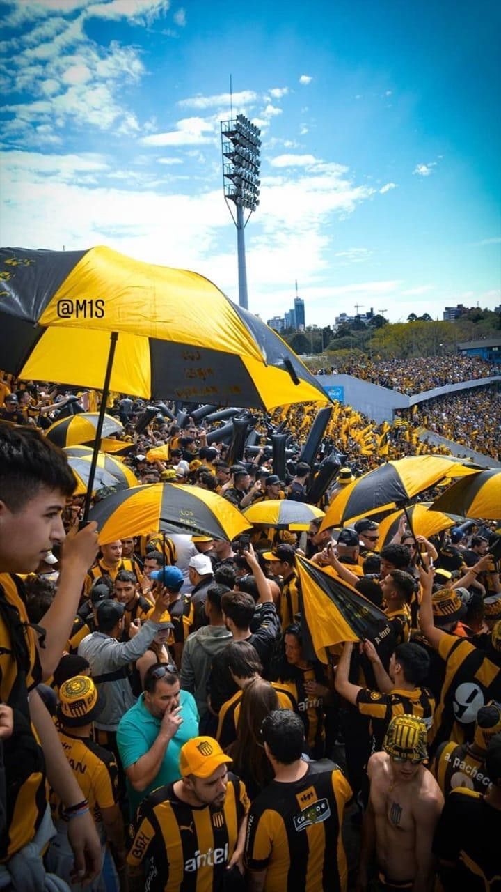 penarol-kleurplaat-gratis-7