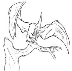 pteranodon-kleurplaat-gratis-15