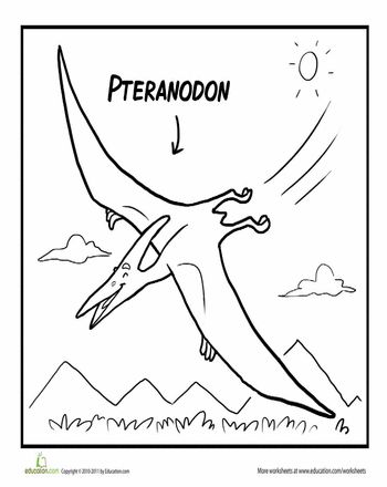 pteranodon-kleurplaat-gratis-2