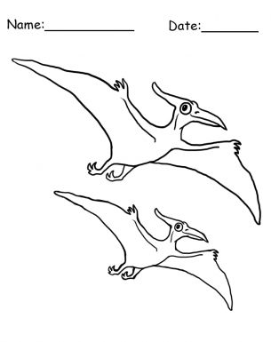 pteranodon-kleurplaat-gratis-4