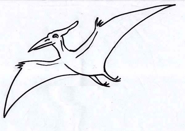 pteranodon-kleurplaat-gratis-6