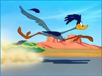 road runner-kleurplaat-gratis-11