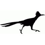 road runner-kleurplaat-gratis-14
