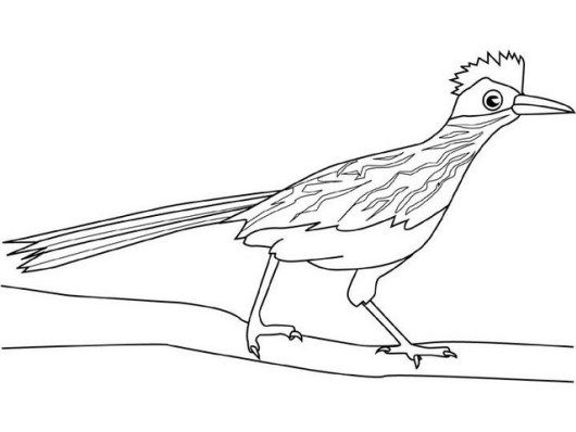 road runner-kleurplaat-gratis-5