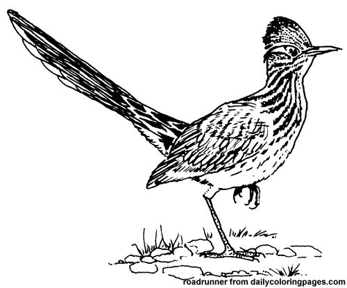 road runner-kleurplaat-gratis-6