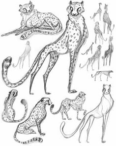 sabretooth-kleurplaat-gratis-3