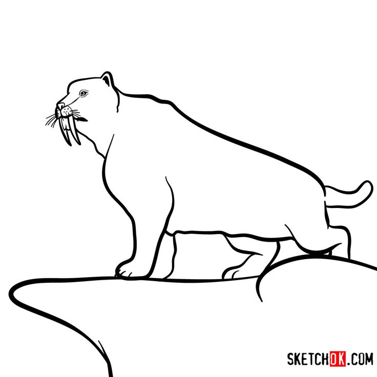 sabretooth-kleurplaat-gratis-5